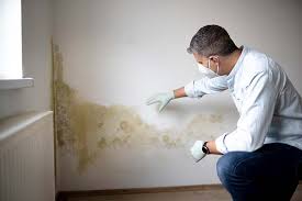 Mold Remediation for Rental Properties in Pickens, SC